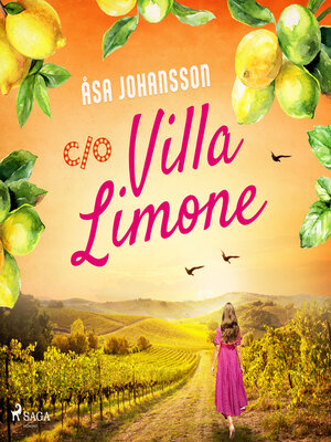 cover image of C/O Villa Limone